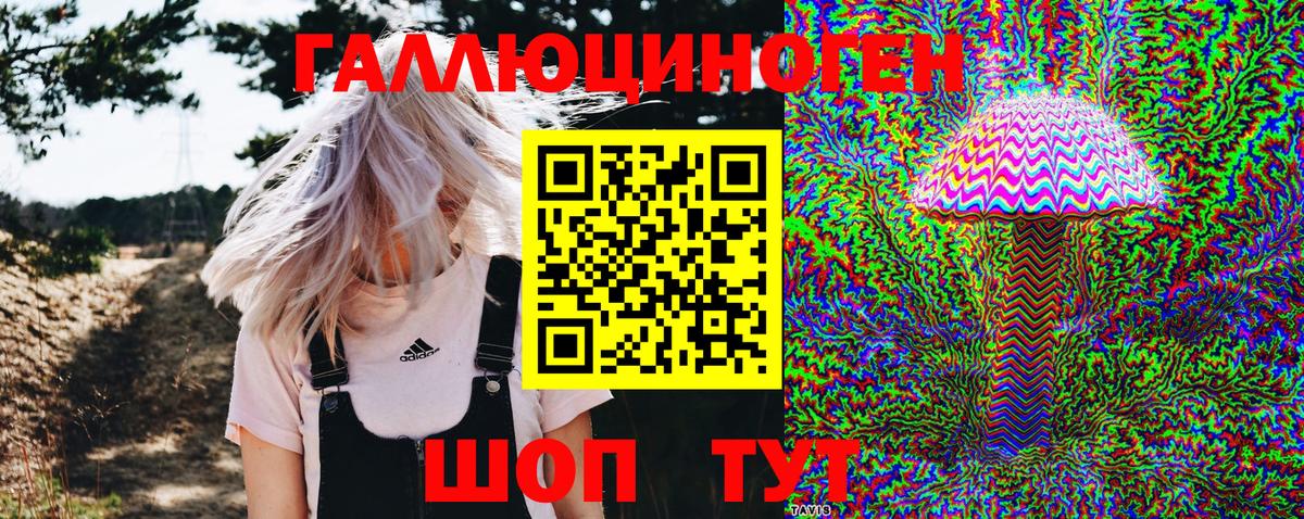 где найти наркотики  Вход с VPN  Сочи  Галлюциногенные грибы Psilocybe 
